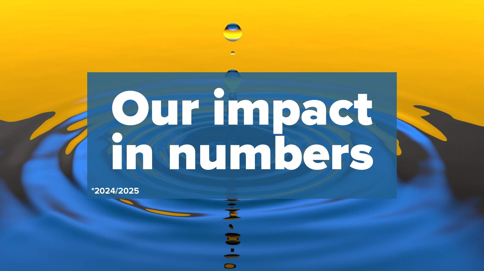 Our impact in numbers