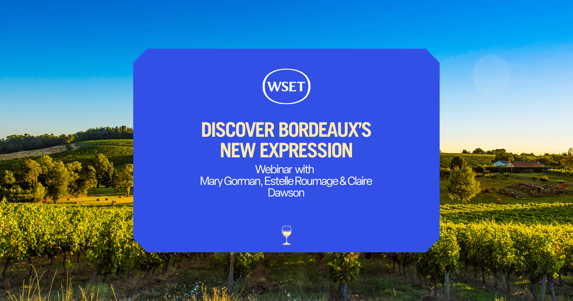 bordeaux wine.png